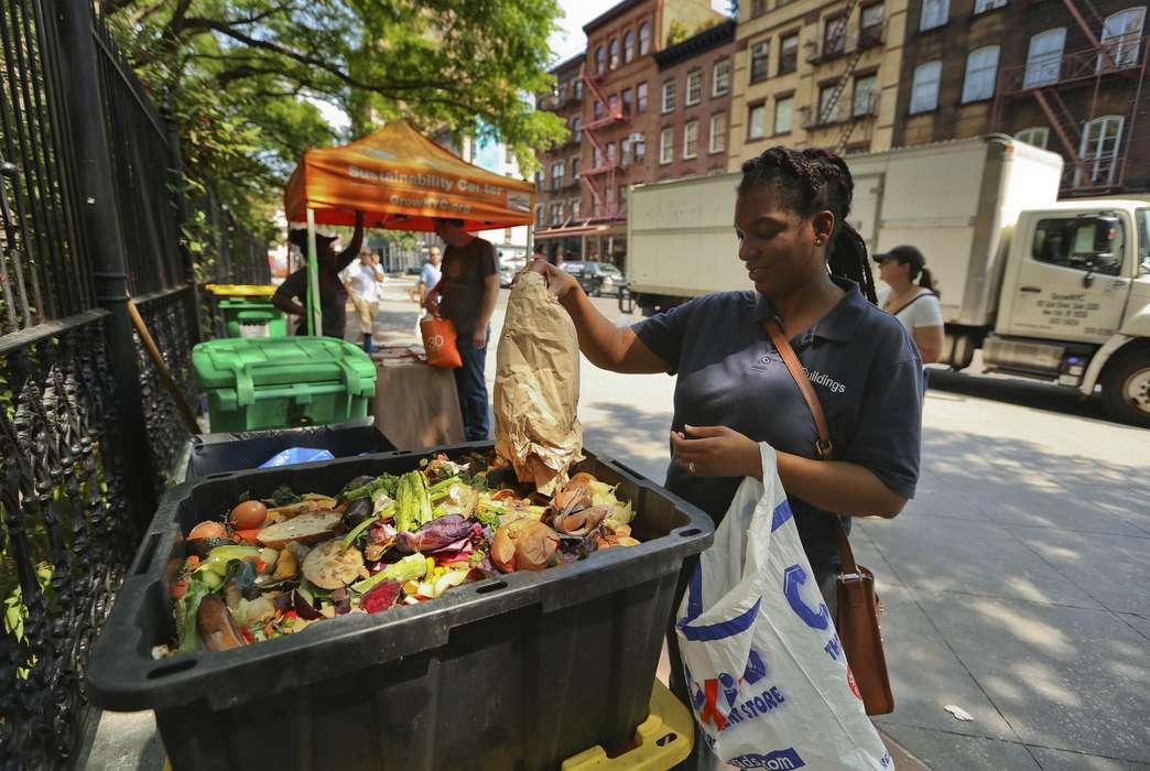 El mundo desperdicia cerca del 40% de los alimentos cultivados