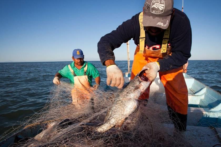 Unen Canadá, Estados Unidos y México esfuerzos en pro de pesca sustentable