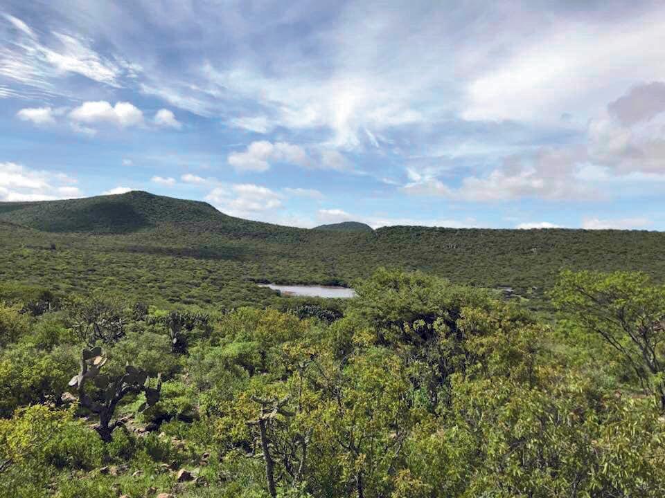 Fondo para la Protección Ambiental entra en vigor en Querétaro