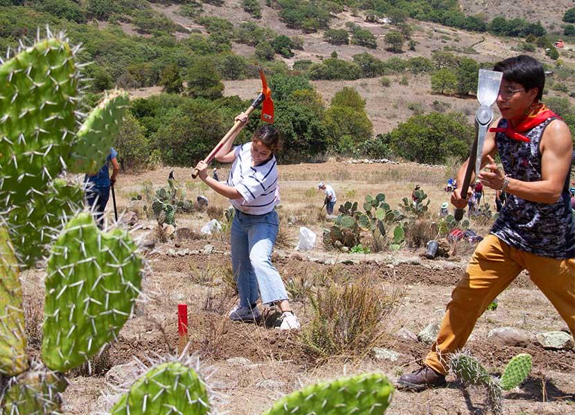 Realiza Comunidad Bosque Vivo reforestación en Amealco