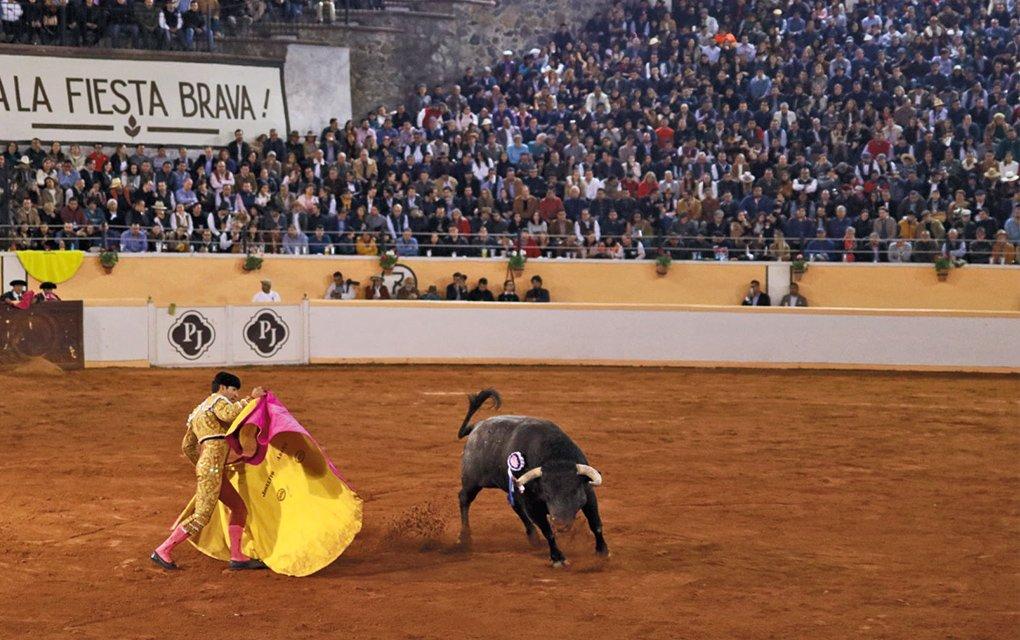 Congreso de Querétaro definirá si tauromaquia continúa como patrimonio cultural