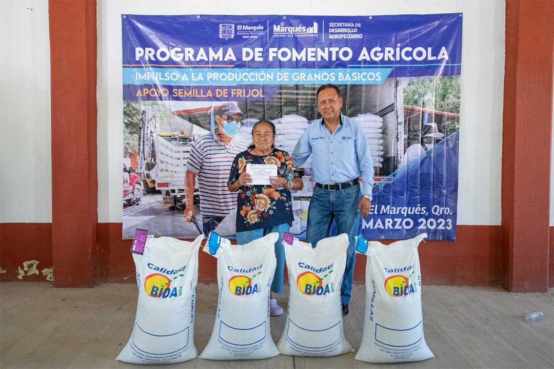 El Marqués propicia la producción de frijol en el municipio