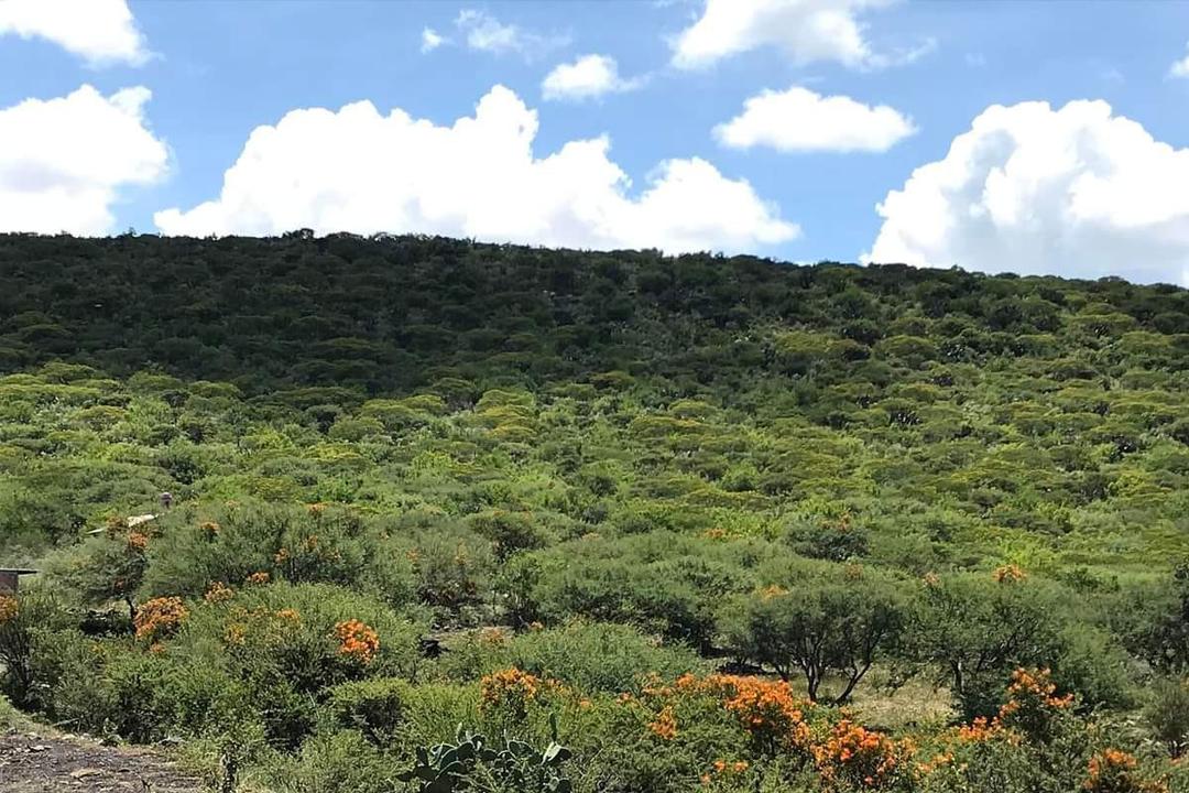 Peña Colorada es oficialmente Área Natural Protegida
