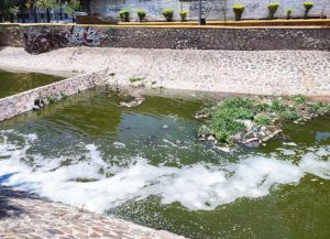 Ríos urbanos en Querétaro, nulos de mantenimiento