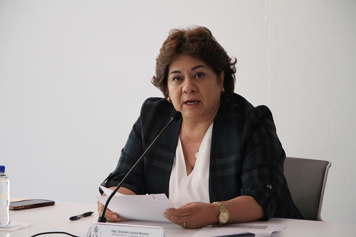 La diputada Graciela Juárez es la tercera mujer en presidir la Mesa Directiva en la LX Legislatura de Querétaro. Foto: Especial